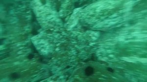 Подводная охота на гребешок. Владивосток