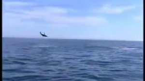 РЫБАЛКА В АТЛАНТИЧЕСКОМ ОКЕАНЕ