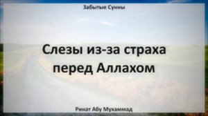 89. Слезы из-за страха перед Аллахом || Ринат Абу Мухаммад