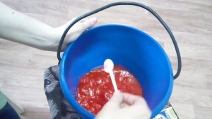 Каллы. Высаживаю на проращивание.