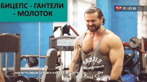 БИЦЕПС - ГАНТЕЛИ - УПРАЖНЕНИЕ МОЛОТОК