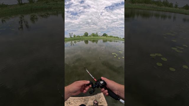 Skipping cast training (Тренировка техники заброса скиппинг на кастинговом спиннинге)  #fishing