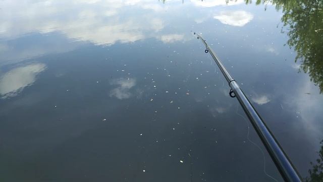 РЫБАЛКА В ДЕРЕВНЕ. УВИДЕЛИ БОБРА! ОГОРОД И СОБАКИ. VLOG. смотреть онлайн