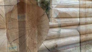 Рубленный дом из кедра по технологии post and beam под Звенигородом