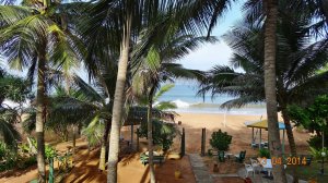 Отдых на Шри-Ланке. Отель Oasey Beach (Induruwa).