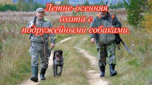 Охота с подружейными собаками.