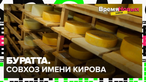 Как изготавливают сыр? «Время новых. Завод» | Москва 24 | Контент