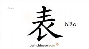 表 (biǎo) watch; form