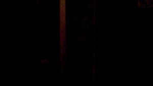 Электрический лифт V=1 м-с, грузоподъемность 320 кг (120)