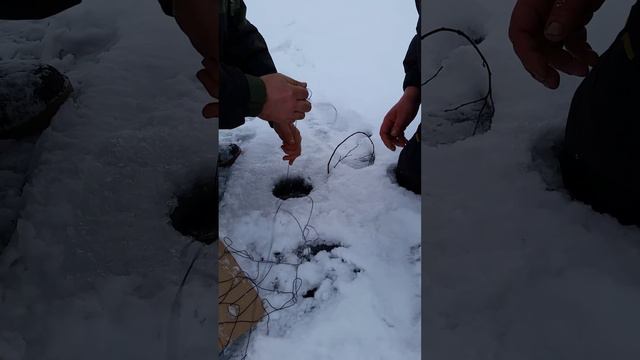 погоня за налимом смотреть онлайн