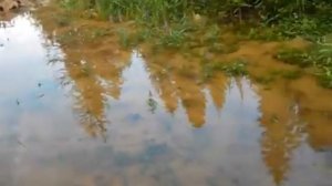 Карстовый провал в русле речки Кукарка лето 2015
