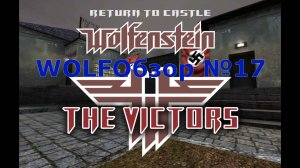 WOLFОбзор №17 - Victors
