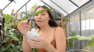 Plant Unboxing | Sam's Greenhouse & Plant Collector Melbourne