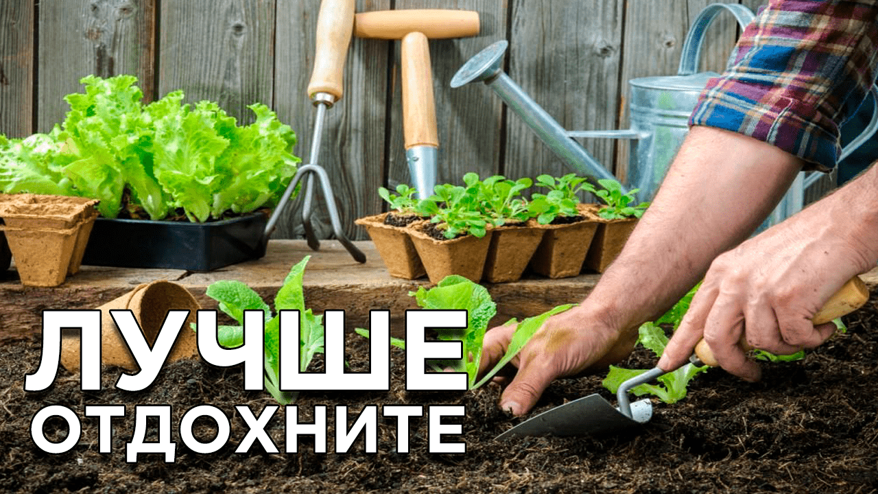 5 дел в саду и огороде, которые вы делаете зря смотреть онлайн