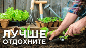 5 дел в саду и огороде, которые вы делаете зря