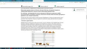 😡😤😈💲💲💲  ЛОХОТРОН! Мицелиткс,