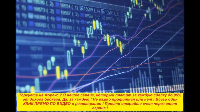 Что такое Биржа валют? Валютная Биржа.
