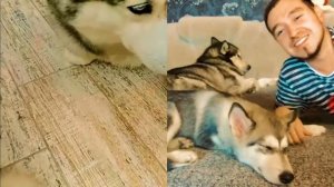 Кто такой мистер бубл?