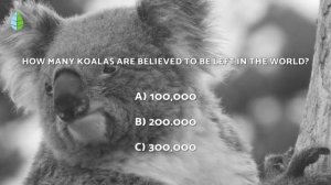 ANIMALS in DANGER of EXTINCTION 2022 ?⚠️ (Top 10)