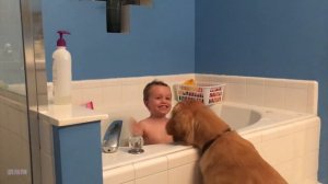 Смешные видео по Русски, смешные и забавные дети