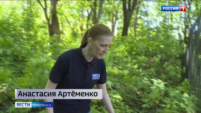 Смоленские экскурсоводы организовали субботники на лютеранском кладбище и сделали открытия