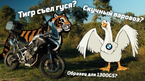 Новый Triumph Tiger 1200 | Гусь без вибраций | Скучный и мягкий