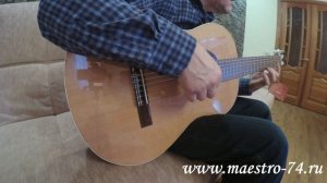 Классическая гитара Alhambra 2C