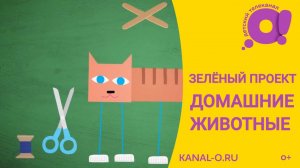 Зелёный проект. Домашние животные | Детский познавательный канал О!  | Детские образовательные видео