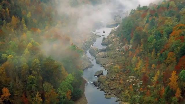Осень бальзаковская дама смотреть онлайн
