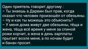 Бабушка с Внучкой Пошли в Баню! Сборник Свежих Анекдотов! Юмор!