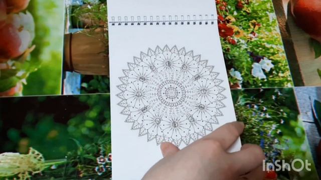 Листаю новый сборник Раскраску-антистресс с Валдберис.