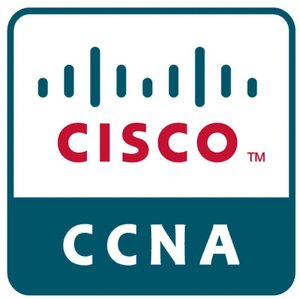 Курс Cisco CCNA
1.2 Компоненты сети