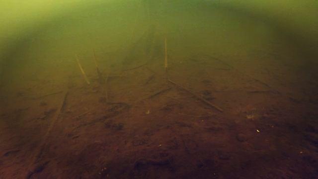 Поклевки Окуня на КБ блесну/ Подводное видео смотреть онлайн