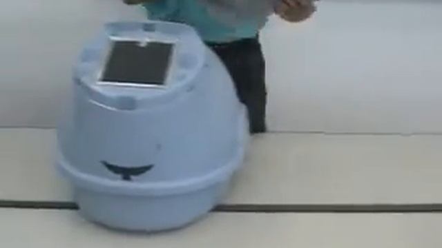 OSTER кошачий туалет с фильтром (220 Вт) смотреть онлайн