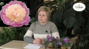 ТРАВЯНИСТЫЕ ПИОНЫ: САМЫЕ ИНТЕРЕСНЫЕ СОРТА!