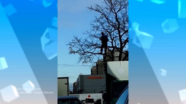 ТВ-репост. 37 от 18.10.19 смотреть онлайн