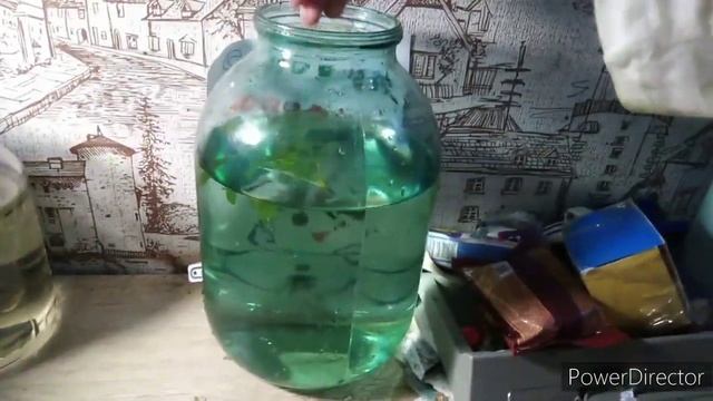 Размножение аквариумных гуппи. смотреть онлайн