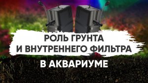 Роль грунта и внутреннего фильтра в аквариуме. Беседа с Владимиром Ковалёвым