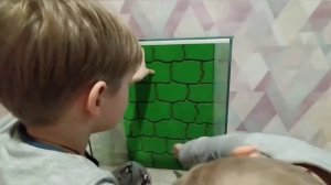 Террариум для хамелеона