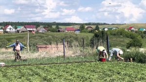 Уфимские будни Скоро йога для поясницы Дачная прополка Парк Якутова Духовное и материальное воедино