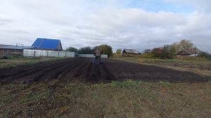 Мотоблок Скаут. Фрезерую почву под озимый чеснок.