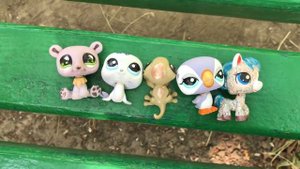 LPS: LPS НА УЛИЦЕ НА 24 ЧАСА!? (ОПЫТ #4)