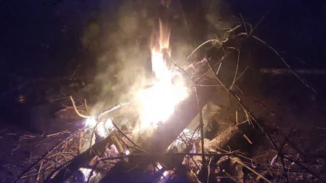 Сплав по реке Дубна, 5-6 сентября 2020 года смотреть онлайн