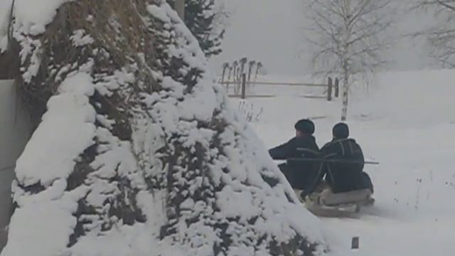 Олени в Томске смотреть онлайн