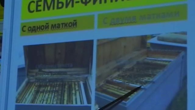 Василий Анатольевич Гайдар (часть 1) смотреть онлайн