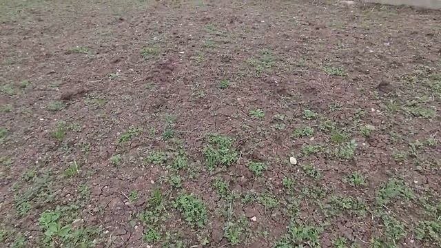 Состояние экспарцета на середину марта.