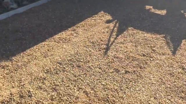 Как сделать парковку своими руками. тротуарная плитка смотреть онлайн