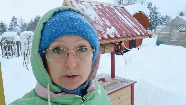 Видео привет-ответ с 6 соток январь 2022