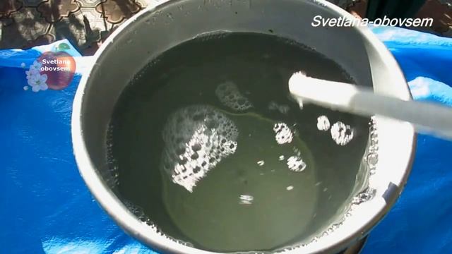 ТЛЯ ПОГИБНЕТ СРАЗУ ОТ ТАКОЙ ОБРАБОТКИ ,ДАЖЕ ВО ВРЕМЯ ЦВЕТЕНИЯ И ПЛОДОНОШЕНИЯ.ЭТО ЕЩЕ СУПЕР ПОДКОРМК