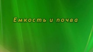 Пересадка Калатеи. Как, когда и в какой горшок пересаживать Калатею.